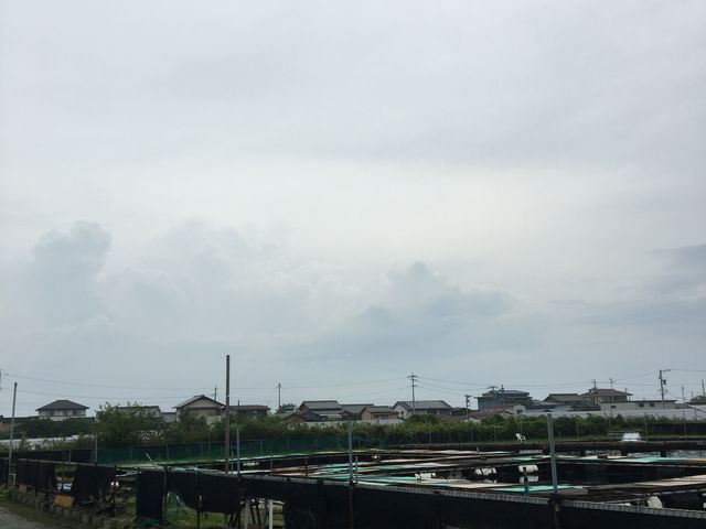 �S�̑��ł��B_�������t�B�b�V���O�p�[�N