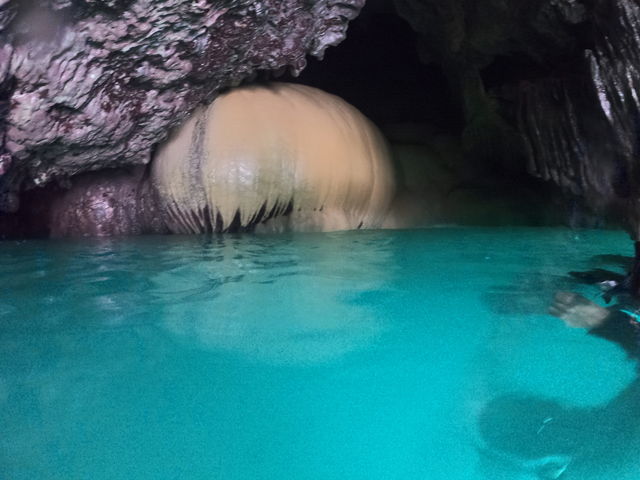 ���ꂪ�p���v�L��_�}�����T�|�[�g�^�C�h�{��