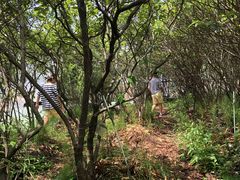 moûЂu[x[K[fւ̓eʐ^1