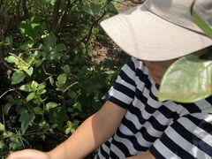 moûЂu[x[K[fւ̓eʐ^2