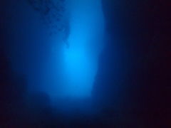 ̂̐̓A@Dive@ւ̓eʐ^1