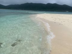 remiremi̊ЃZAu[ւ̓eʐ^2