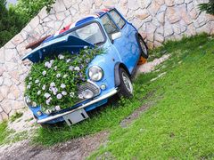 English Garden ローザンベリー多和田の写真一覧 じゃらんnet