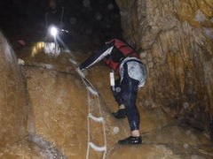 䂩񂳂̃}T|[g^Ch{Âւ̓eʐ^2