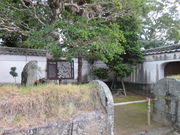 ������񂳂�̓c���`��a���n�̓��e�ʐ^1