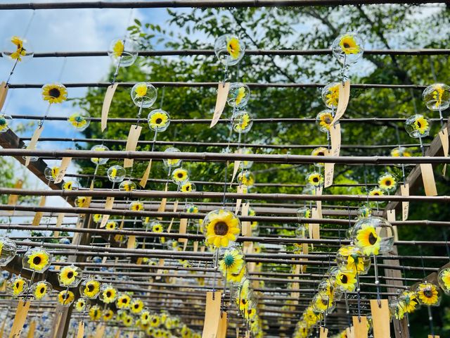 ����̒��̌��������A�ƂĂ����炵���B
���ɂ��A�J���t���őN�₩�ȕ��邪���сA�ƂĂ��Y��ł����B_�����@