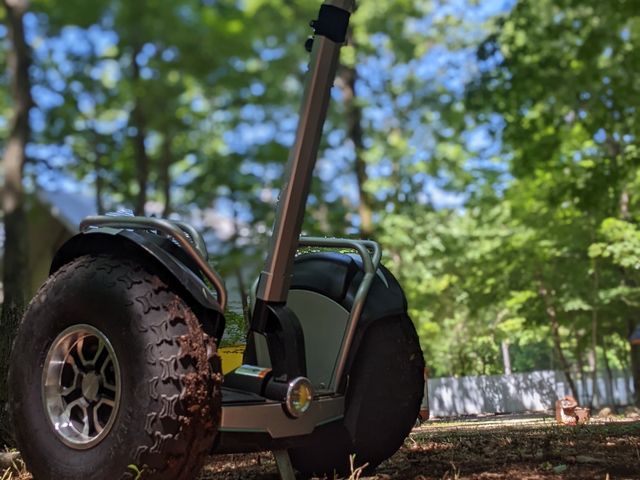 �Z�O�E�F�C�̂��Ƃ��ȁH�Ƃ��Ă��ł���_�W���C�����C�h�p�[�N