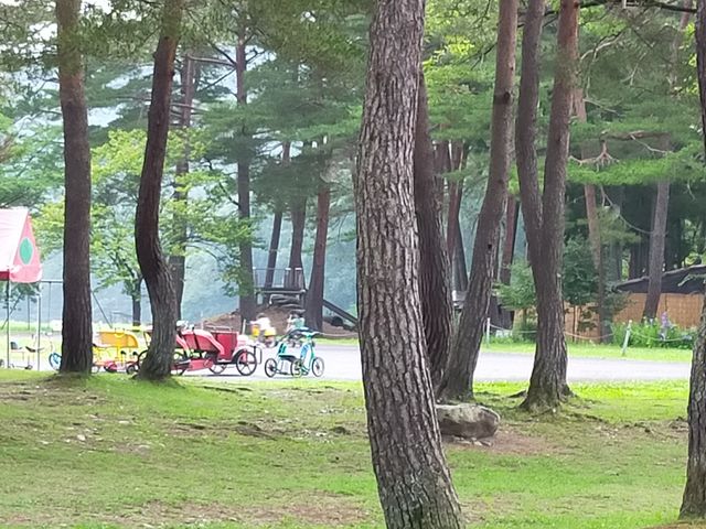 �΂ɕ�܂ꂽ�X�|�[�c�̐X_���n�O���[���X�|�[�c�̐X