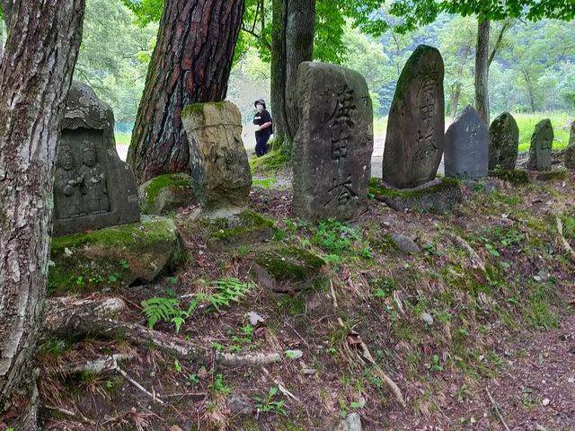 �Γ���Ε����Â��ɘȂރG���A_���n�O���[���X�|�[�c�̐X