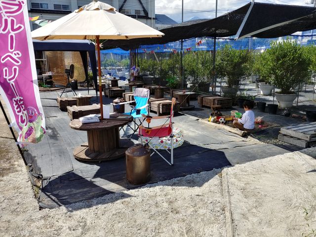 �q����������⏬��ŃG���W���C_Sachi Blueberry Farm