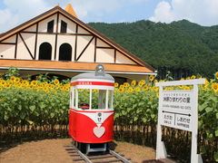 �F���Ђ܂��̗��@�J���̎ʐ^1