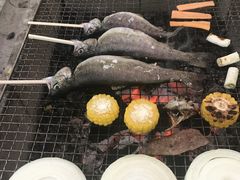 ���܂���̍���k�����ւ̓��e�ʐ^1