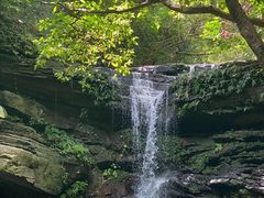 ̐\AWcA[KAGUYAւ̓eʐ^1