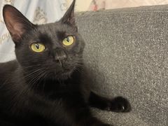 ܂݂񂳂̕یLVF^[@ɂŁBւ̓eʐ^2