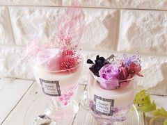 SUNNY CHERRY�̎ʐ^2