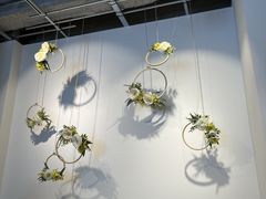 ƂAIGISE\QXւ̓eʐ^1