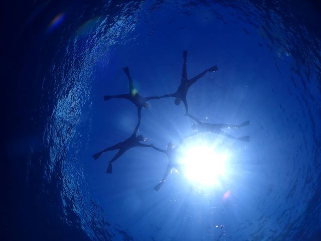 �J�����}�������ł����B
�悢�ʐ^���B��܂����B
�i���ӁI�j_�{�Ó��_�C�r���O���]�[�gReef