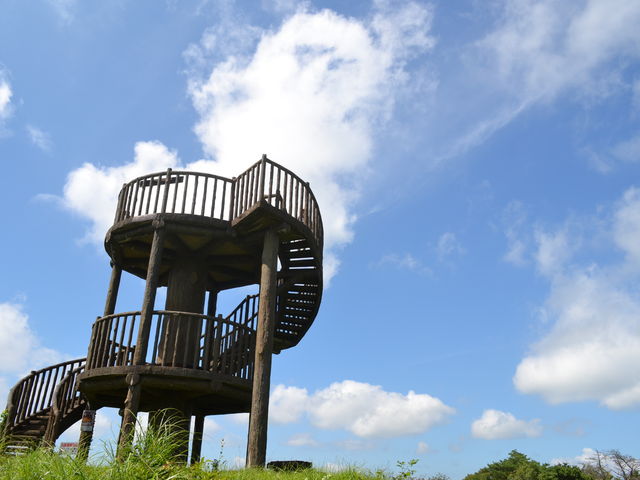 �R���W�]��
_�t�H���X�g�p�[�N�_��R