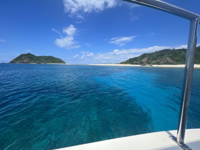 �������c�Ǌԃu���[_�W���C�N���G�C�g���� �e�B�[�_