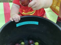 �݁[����̌˓c�ʎ����ւ̓��e�ʐ^1