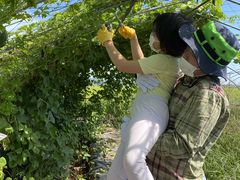 ́[̑̌_uƂƃt@[vւ̓eʐ^1