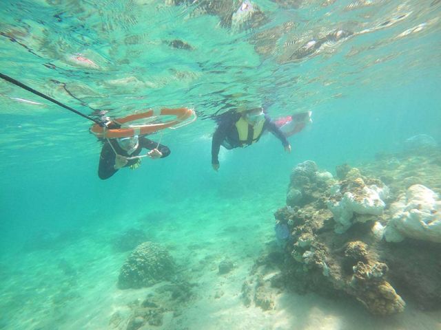 �Y�킷���A�y��������_�����哇�E�F���l�X&�A�h�x���`���[UNIMARE