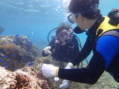 ̐̓A@Dive@ւ̓eʐ^2