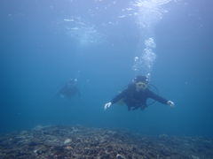 �݂�����̉��v�����R�ē��ւ̓��e�ʐ^1