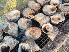 PIN̈ɐu݂₰Z^[@H{Xւ̓eʐ^1