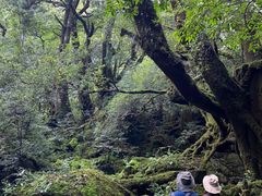 񂳂̉vKChNuւ̓eʐ^1