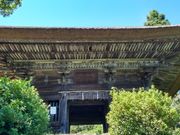 ��������񂳂�̗�R���̓��e�ʐ^2