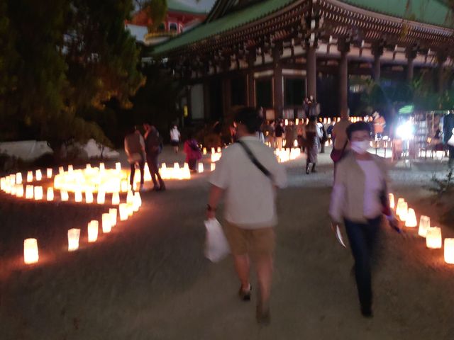 �����E�H�b�`���O_�����l�͉�