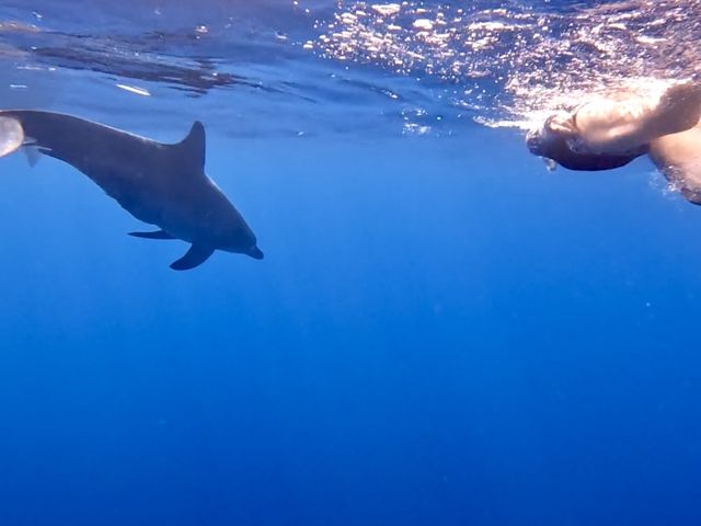 �C���J���߂��ėǂ������ł��I�I_�����K�C�hPolaris