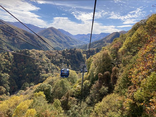 �󒆎U��_�c��v�����X�z�e��