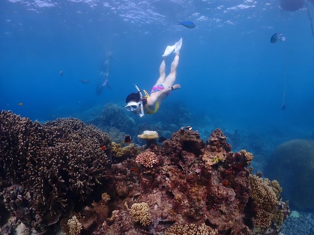 �f����������Ă��������܂����I_Sunnies Miyakojima