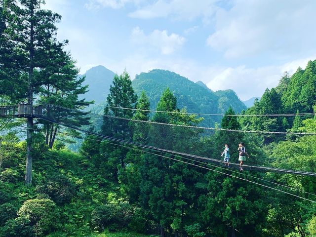 �΂��O�~ ��3_�󒆂̑�