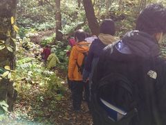 ݂̐AEghAZ^[(X)ւ̓eʐ^1