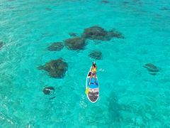 [񂳂Sunnies Miyakojimaւ̓eʐ^1