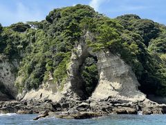 KittySeafari Japanւ̓eʐ^1