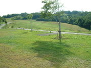 masa010̐eqLv̓eʐ^4