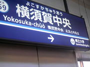 �T���v������̃X�J�i�ri�̓��e�ʐ^1