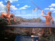 �T���v������̉��{��s���R�E�l�������ق̓��e�ʐ^4