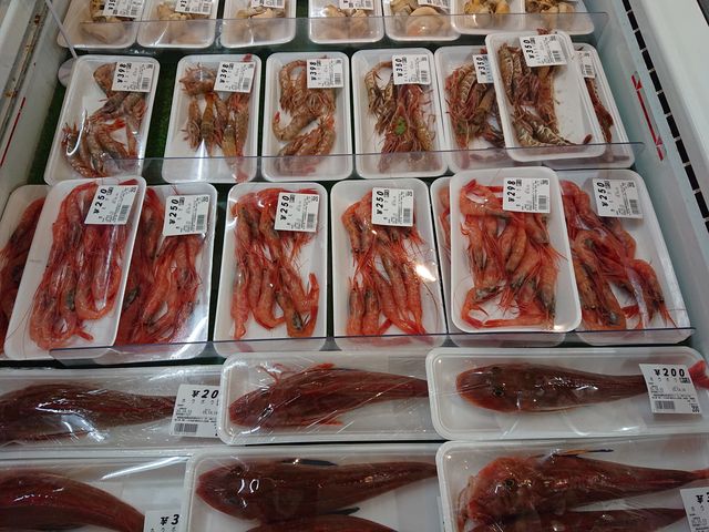 挧@̉w Ȃ񂹊_̉w Ȃ񂹊