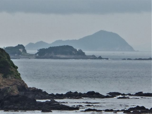 ����W�]�䂩��̕��i�F�I��p�z���ɁA���艀�n�ƊZ�蓔�䂪�����܂��B_����铔��