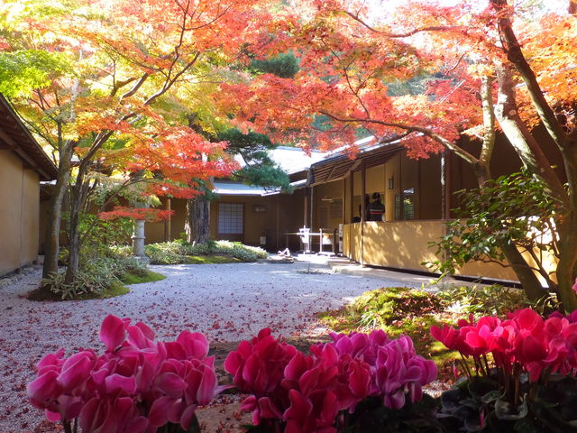 �V�N�������ƒ���_����b�ώR��