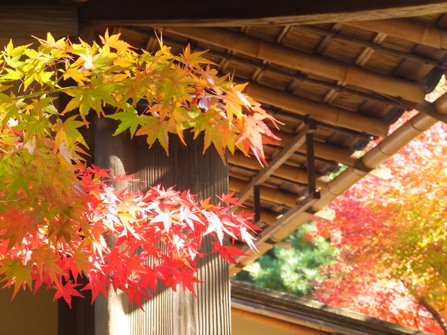 �F�t���r��_����b�ώR��