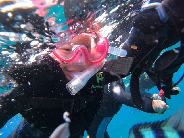 �������ꂽ�I�I_����S���_�C�u