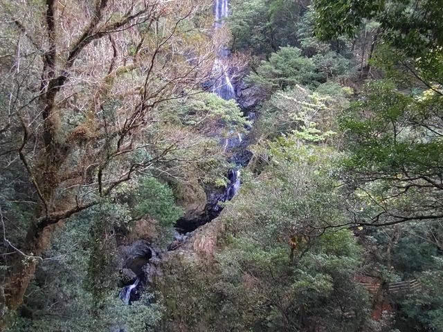 2iځA3iڂ̑ϑ䂩͑̍Œt߂܂Ō邱Ƃł_̑