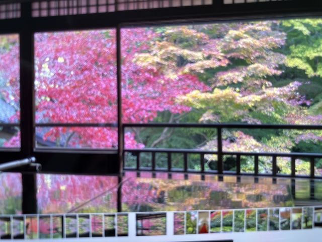 ���h��̑�Ɏʂ�i�F�Ƃ̉f����܂ߑS�Ă��Y��_�ڗ����@