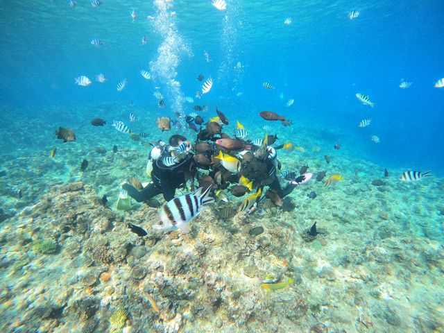 �a�t���̌�_����S���_�C�u